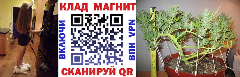 Купить закладку ГАШ  СОЛЬ  Мефедрон  Канабис  Пенза